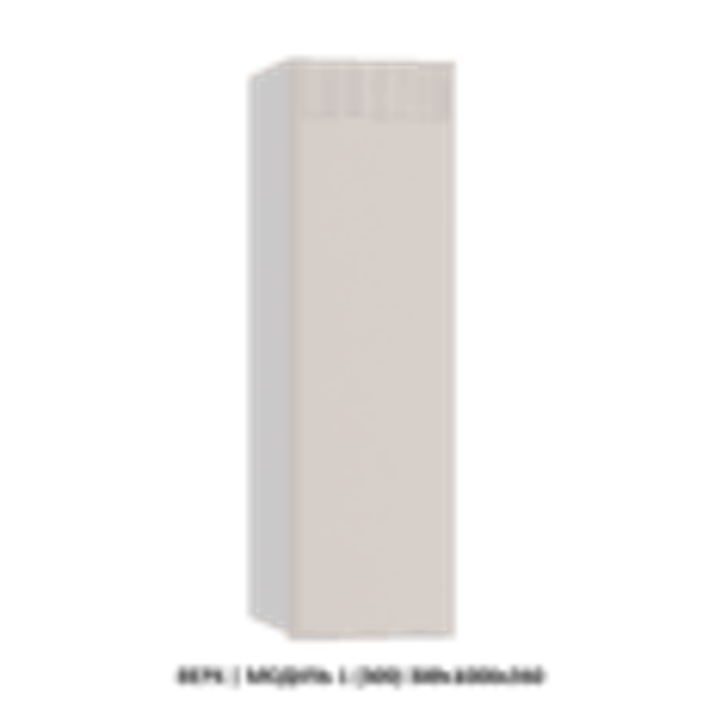 ВЕРХ | МОДУЛЬ 1 (300) 300x1000x360