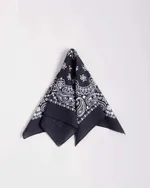 Бандана Anteater Черная