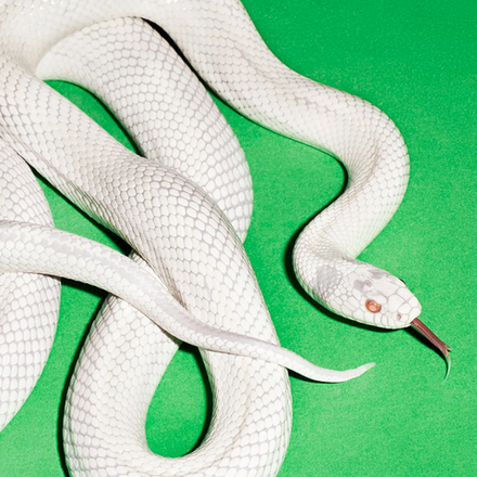 Deftones Private Music