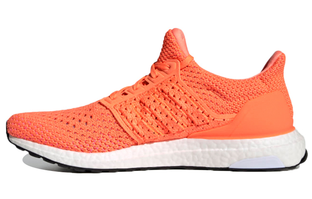 Кроссовки Adidas Ultraboost Clima Dna