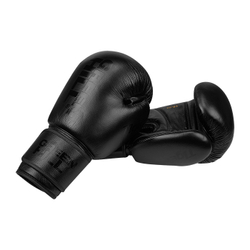 BGT-10697RU боксёрские перчатки TIGER BLACK чёрный