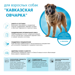 Корм сухой для взрослых собак породы Кавказская овчарка, премиум полнорационный комплекс, с лососем, 2,5 кг, QUATTRO