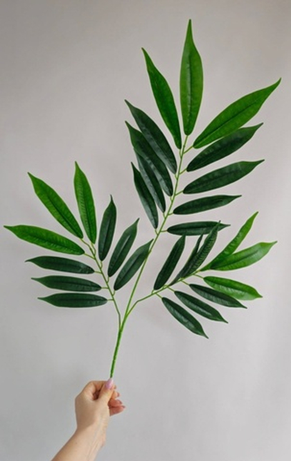 Лонгифолия крупная / Арт 1039