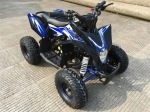 Детский квадроцикл MOTAX GEKKON 90cc 1+1 (Реверс)