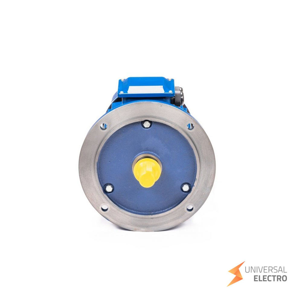 Электрический двигатель 5АИ 100 L4 4/1500 IM 2081