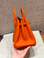 Hermes Birkin 25
