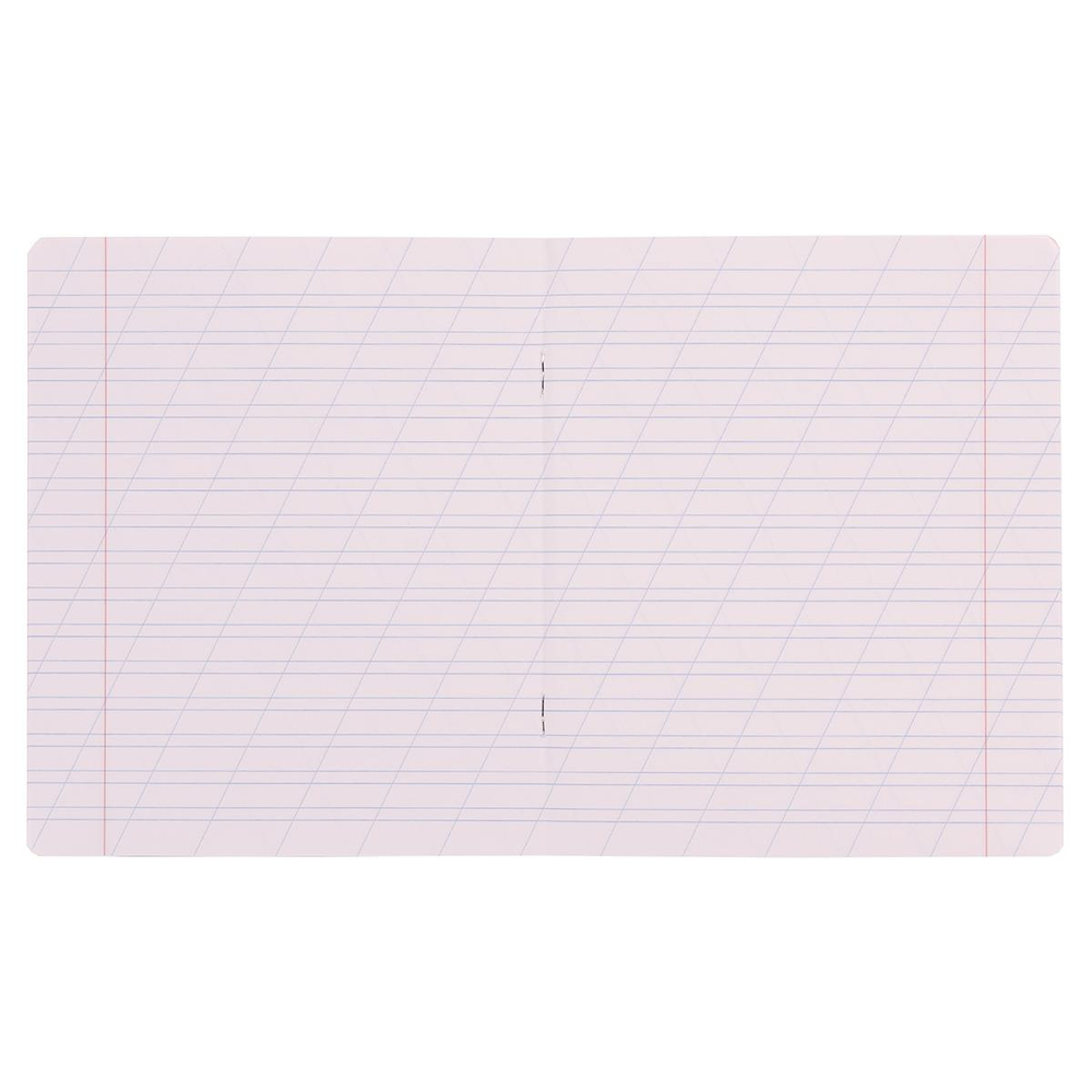 Тетрадь школьная А5 12л косая линия,ассорт "Классика Visio" (Полиграфика) микс цветов (комплект 5 шт)