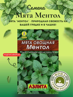 Мята Ментол, семена 0,04 гр.