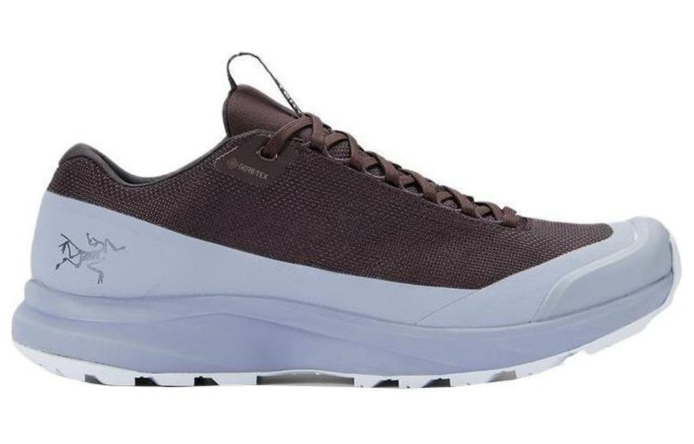 Arcteryx Aerios FL 2 GTX Cushioning Slip Resistant Abrasion Resistant Low top Outdoor Shoes Unisex Brown Gray