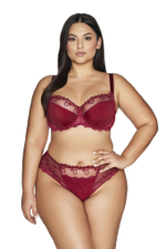 Рубиново-красный бюстгальтер Novato с вышивкой на +size чашках (Размер: 85J) (Цвет: красный)