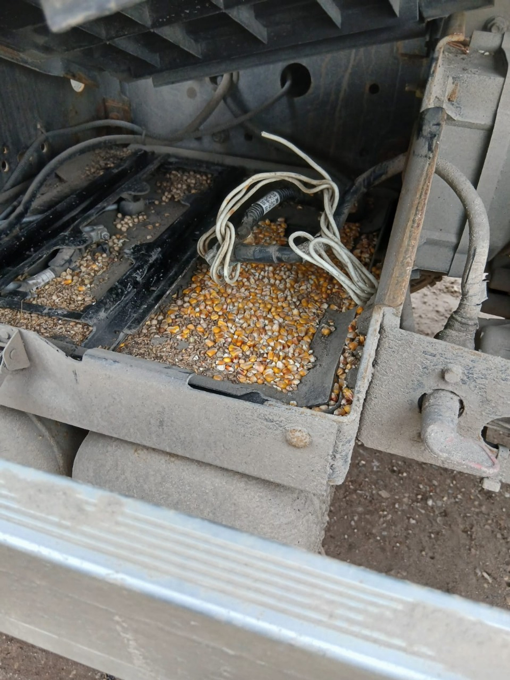Автомастер 5589* на шасси FAW CA 3250 6x4 Зерновоз 558983-41 (Дизельный, 11,1 л, 420 л.с., МТ)