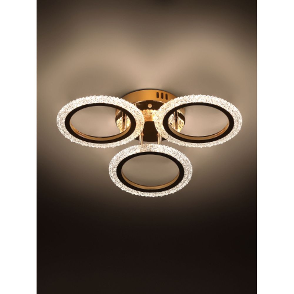 Светильник потолочный светодиодный Rivoli Evlalia 6178-703 LED 42Вт 3000-6000К с пультом | Rivoli