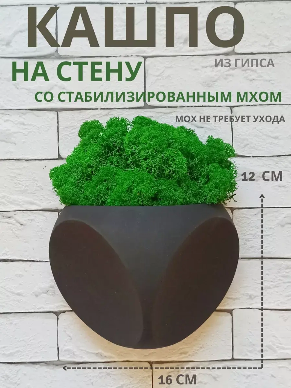 Настенное кашпо со мхом черное