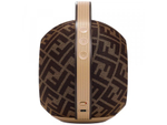Портативная акустика Devialet Mania x Fendi