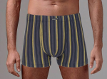 Мужские трусы-боксеры в контрастную полоску (Размер: L) (Цвет: серый)