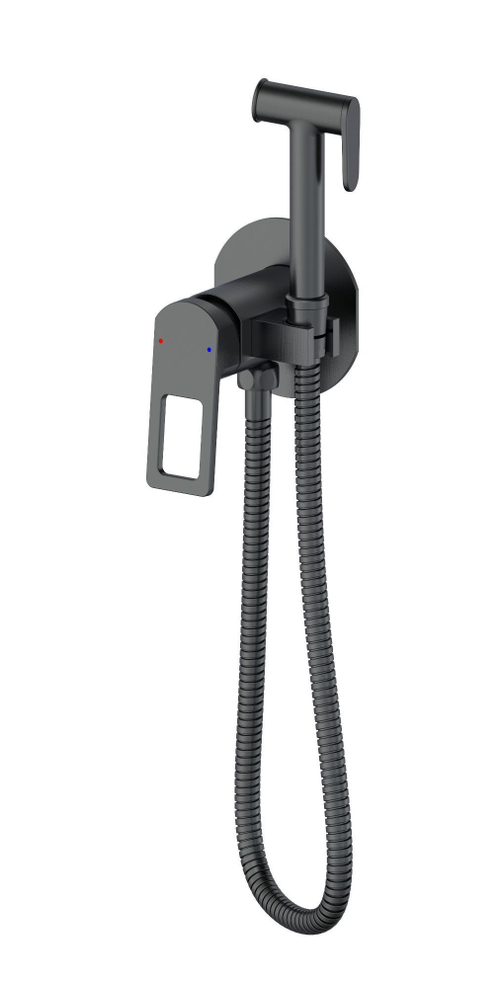 Смеситель с гигиеническим душем встраиваемый WONZON & WOGHAND FRAME, Темный графит (WW- 88829010-BGM)