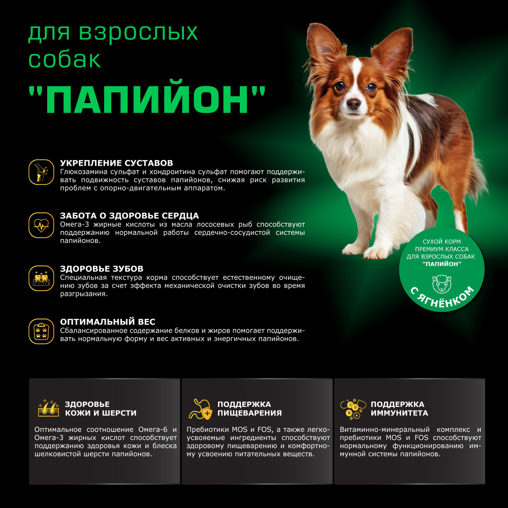 Корм сухой для взрослых собак породы Папийон, с ягненком, 800 гр, QUATTRO