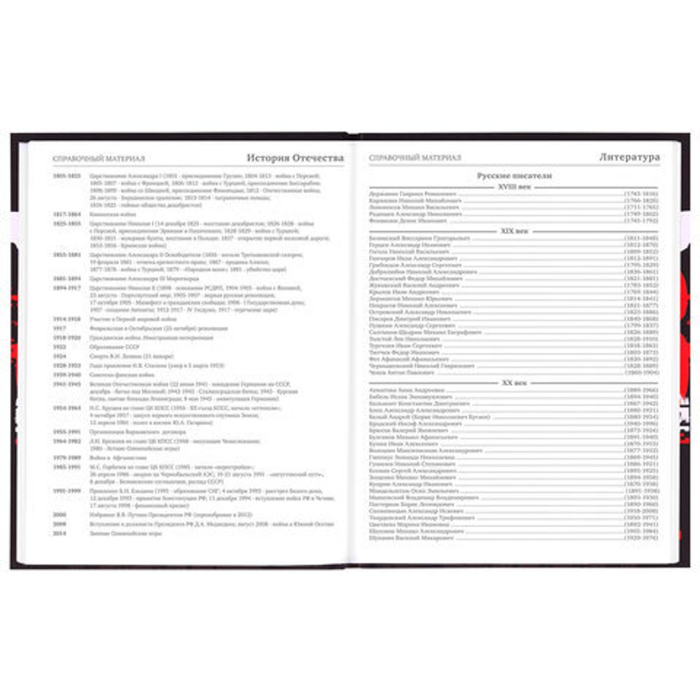 Дневник 5-11 класс 48 л., твердый, BRAUBERG, выборочный лак, с подсказом, "Кеды", 106889