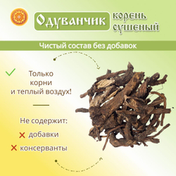 Одуванчика корень.
