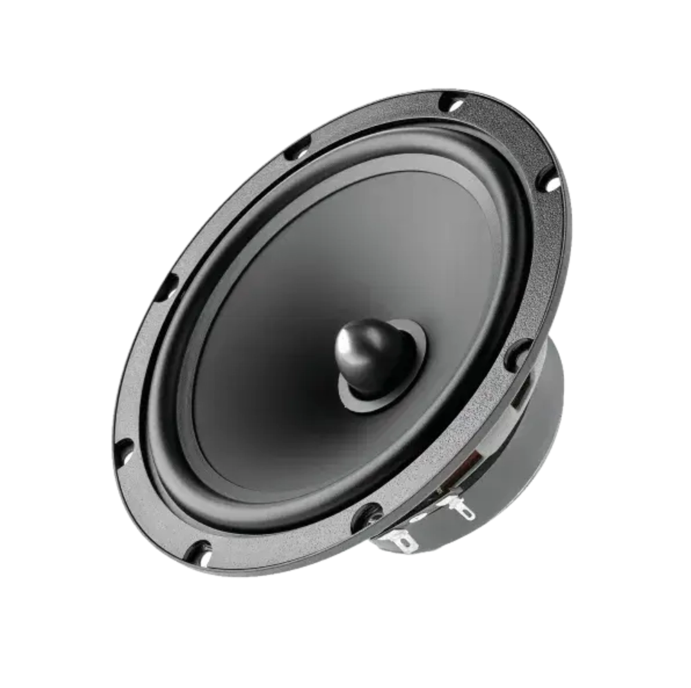 Динамики Focal ASE 165