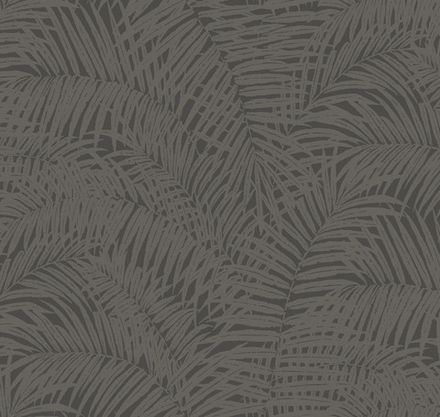 Сканди Дзен Японская пальма