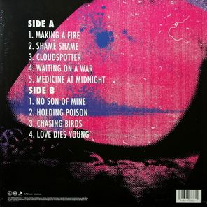 Foo Fighters / Medicine At Midnight (LP)
