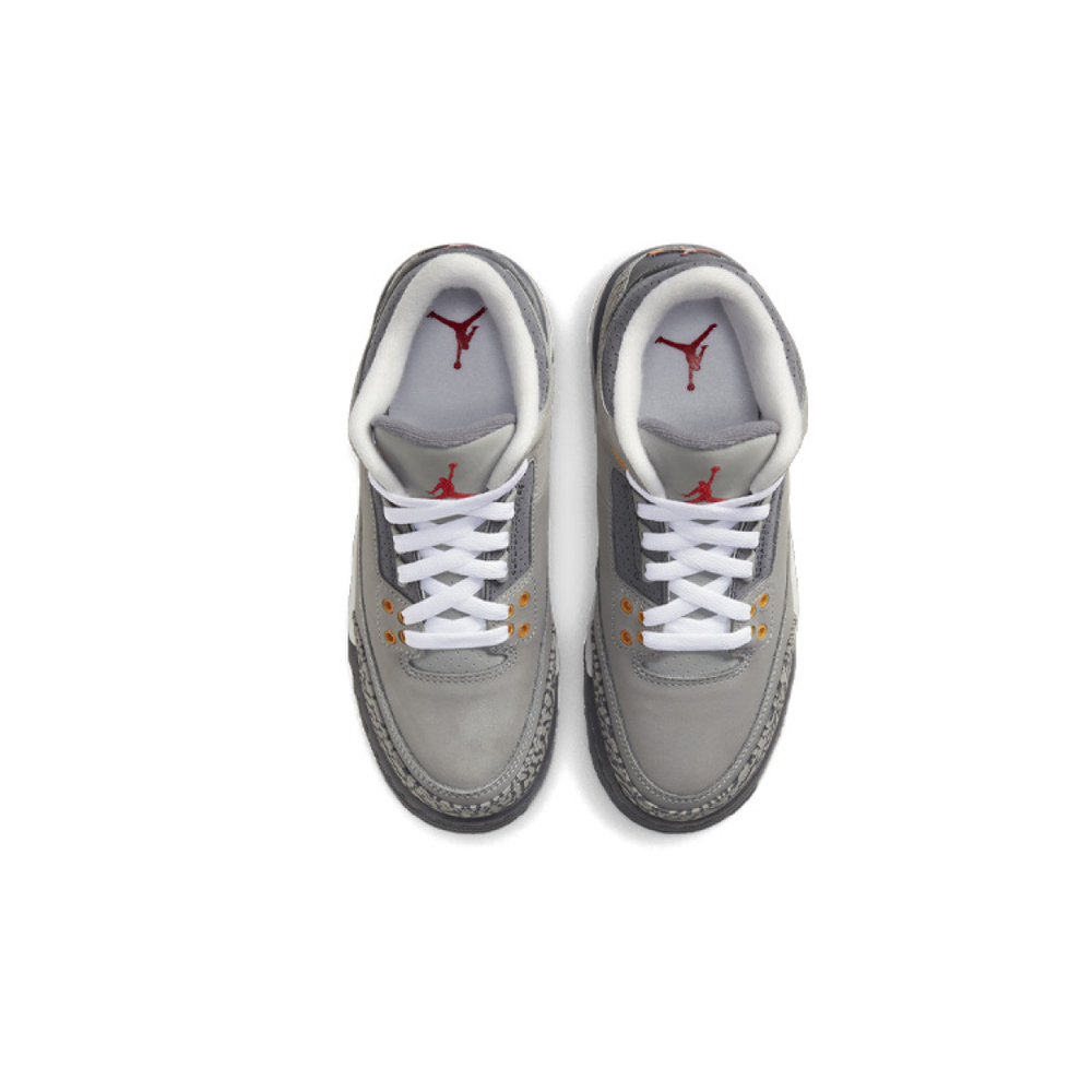 Кроссовки Air Jordan 3 Retro GS Cool Grey 2021