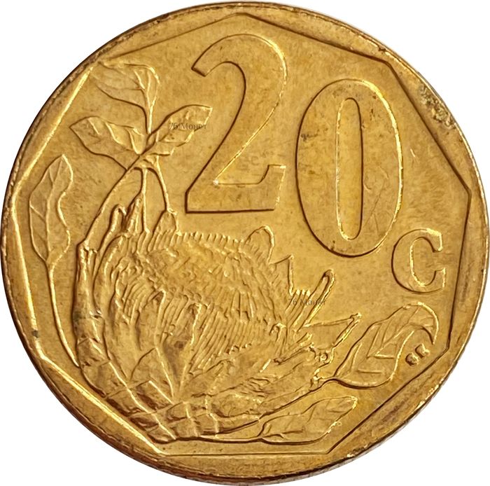 20 центов 2015 ЮАР