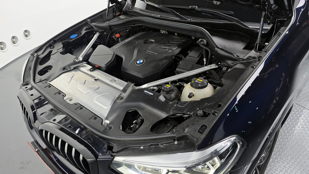 BMW X4 (G02) xDrive20i M Sport X Online Exclusive Edition