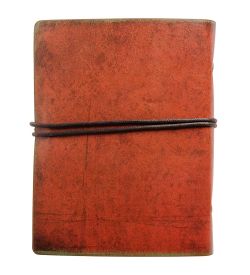 TD-29 Блокнот-Органайзер «Сир Дог»