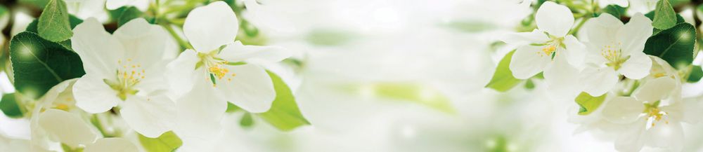 Стеновая панель 2800*610*6 (SP-199 глянец)