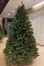 Искусственная ёлка «Монтерей» (Литая хвоя) 240 см / 2.4 м
