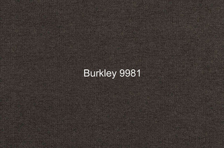 Шенилл Burkley (Баркли) 9981