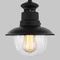 Уличный подвесной cветильник Elektrostandard Talli H GL 3002H черный a038483