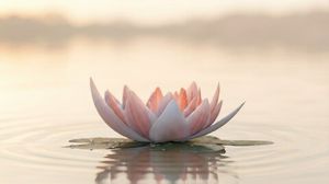 Отношения и близость