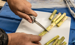 Мультитул LEATHERMAN Curl 832932 (нейлоновый чехол)