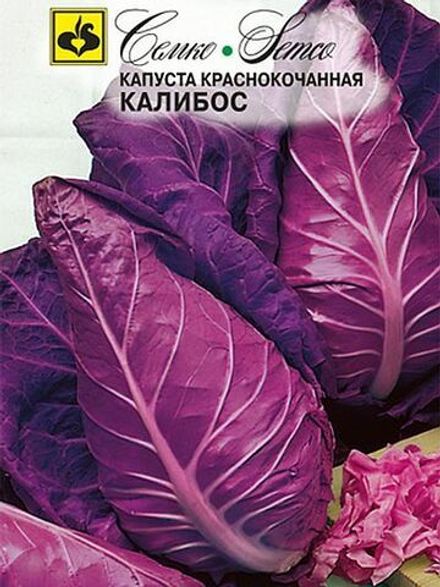 Капуста к/к Калибос Семко