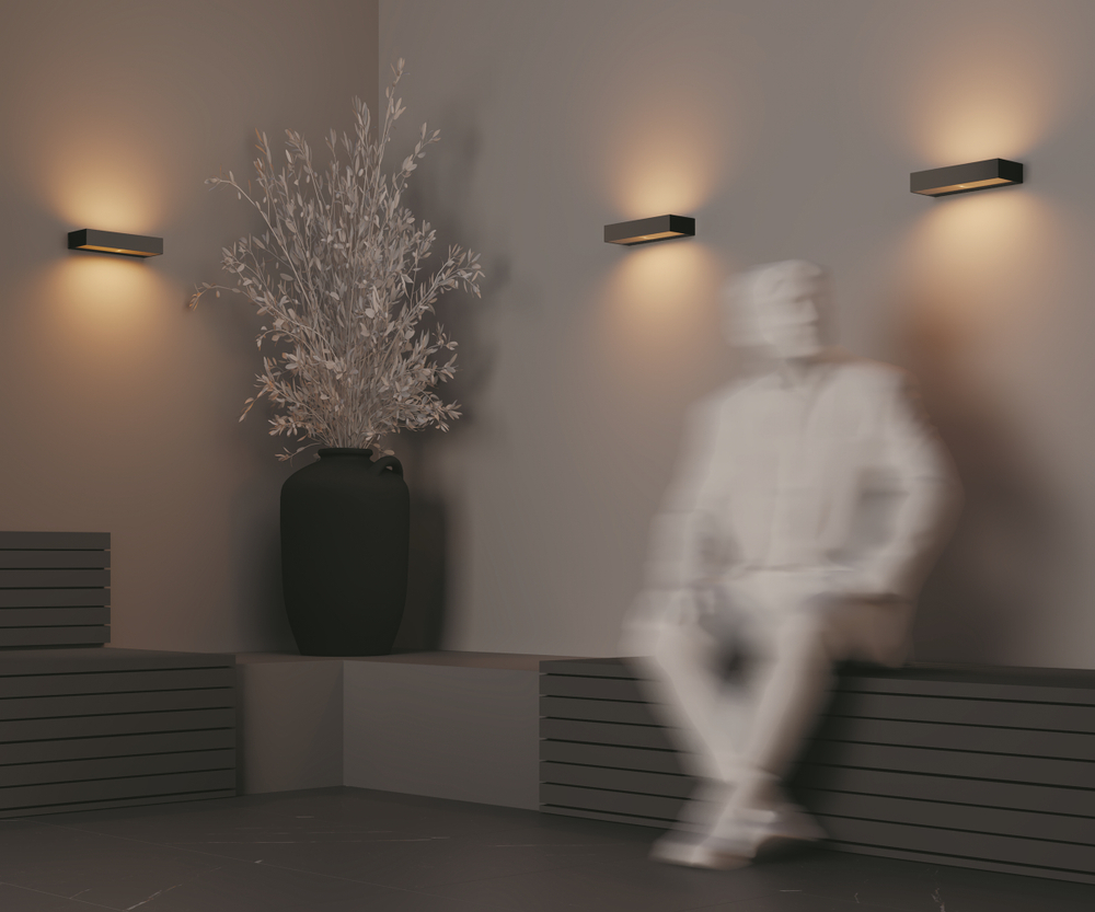 Уличный настенный светильник Outdoor O428WL-L20GF3K