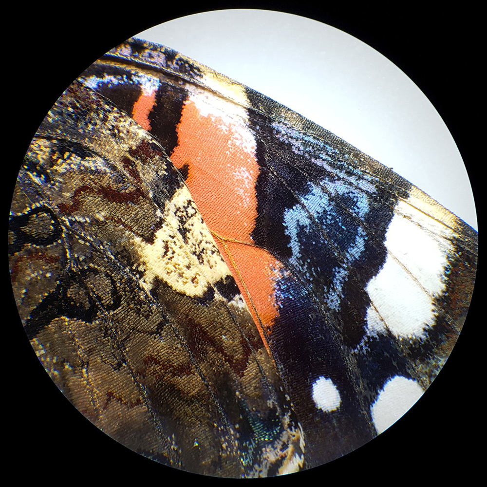 Микроскоп стереоскопический Bresser Analyth STR 10–40x - фото 11