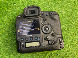 Canon EOS 1DX (257.000 кадров)