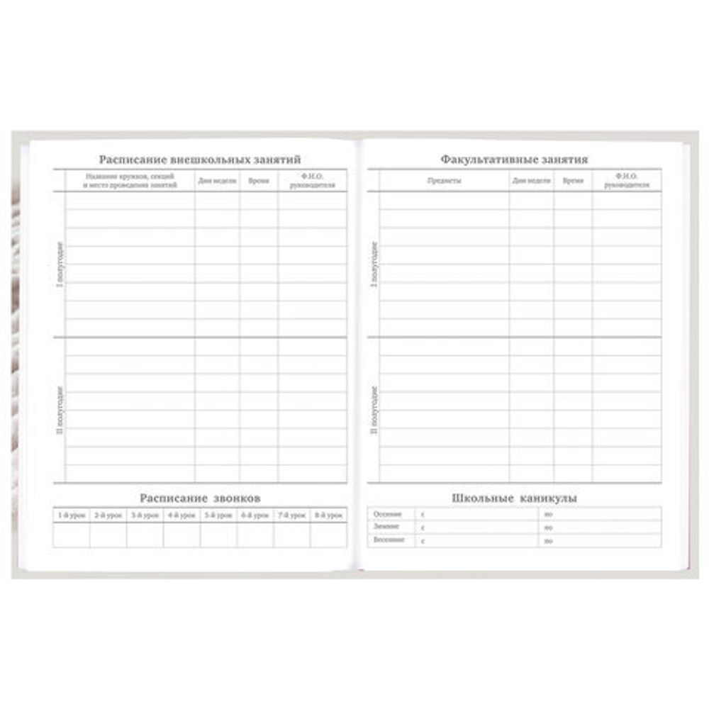 Дневник 5-11 класс 48 л., твердый, BRAUBERG, глянцевая ламинация, с подсказом, "Котик", 107188