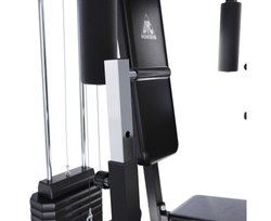 Силовой комплекс DFC HomeGym D7010