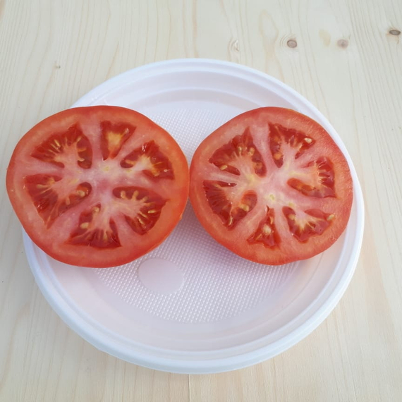 Рестлер F1 семена томата индетерминантного (Seminis / Семинис) – фото 4