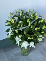 Лилия пионовидная в белом оттенке