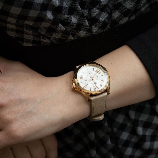 Наручные часы Fossil AM4532