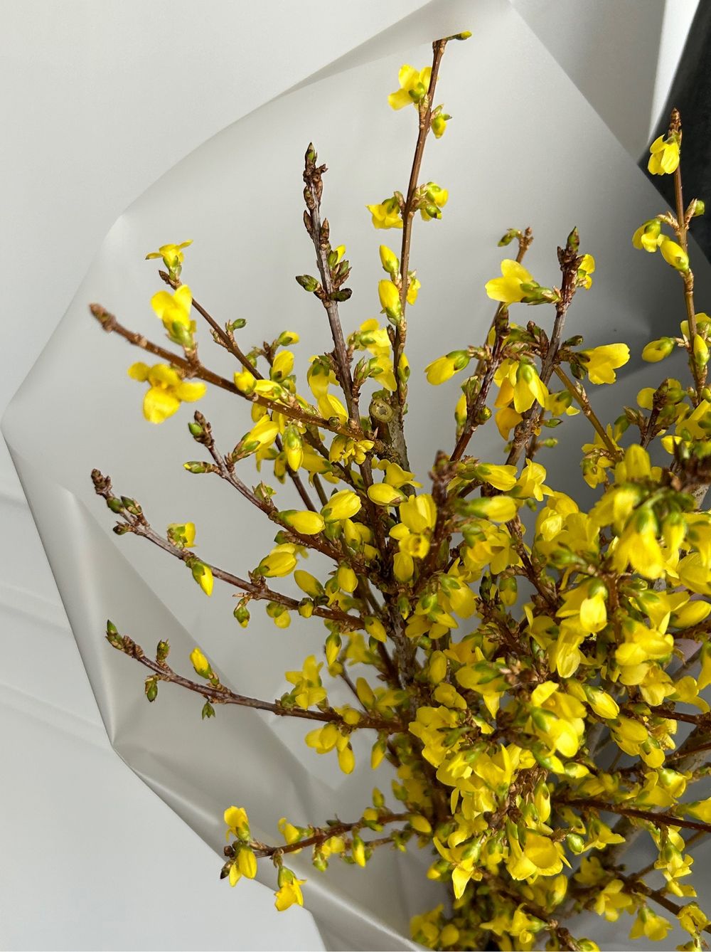 Букет с цветущей форзицией