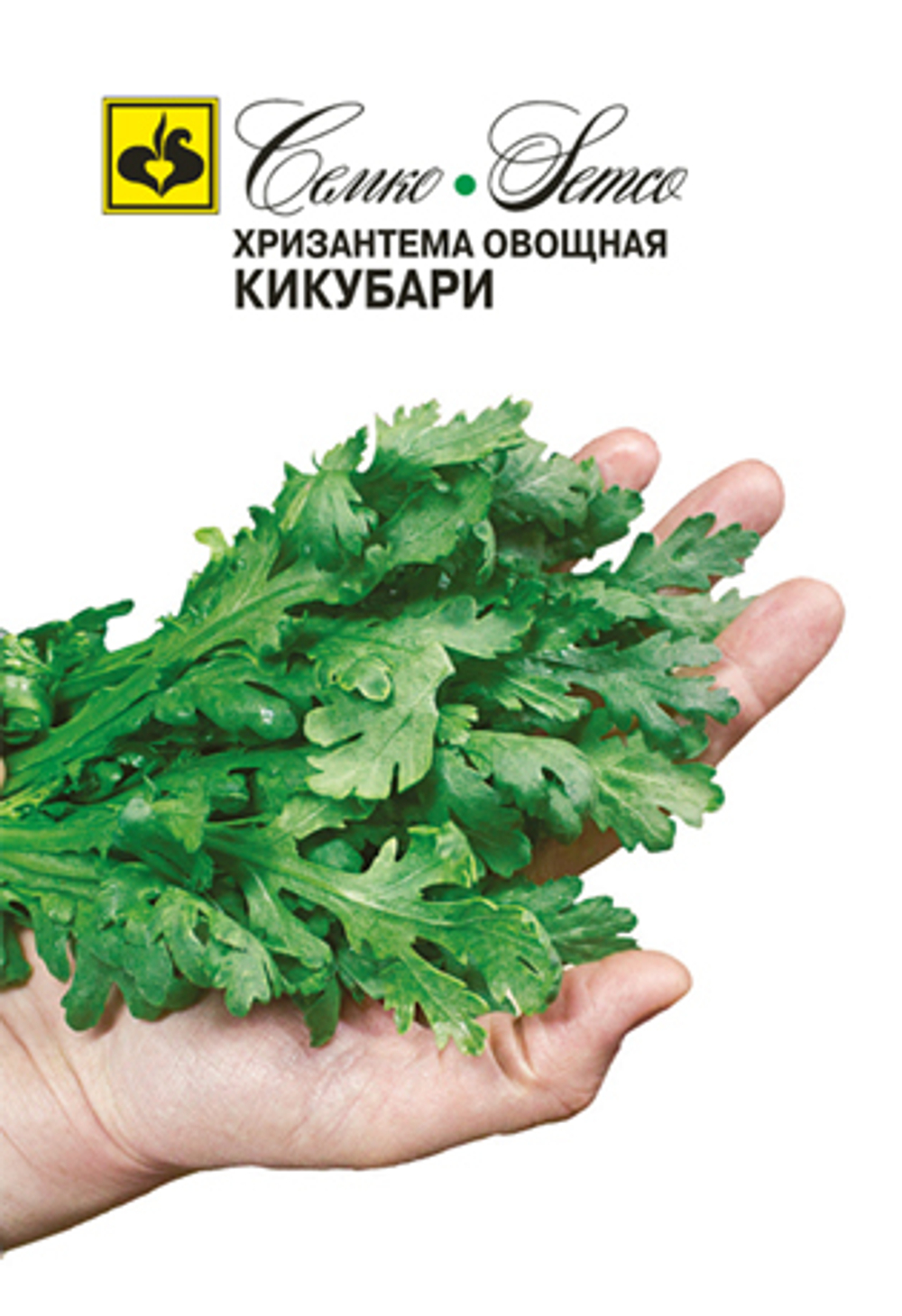 hrizantema_ovoschnaya_kikubari