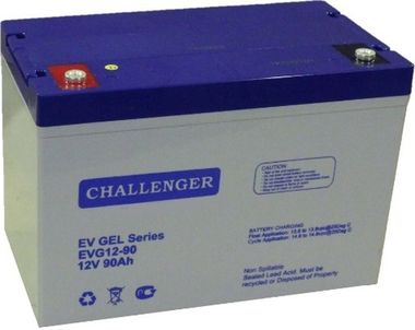 Аккумуляторы Challenger EVG12-90 - фото 1