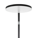 Citilux SOLO CL804061 LED Торшер с пультом Чёрный