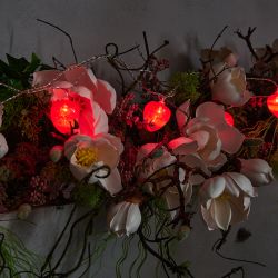 ULD-S0400-010-STB-2AA RED IP20 STRAWBERRY Гирлянда светодиодная на батарейках 2AA не в-к. Клубника. 4м. 10 светодиодов. Красный свет. Провод прозрачный. TM Uniel.